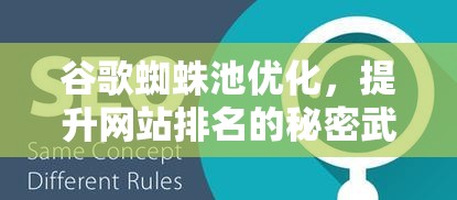 谷歌蜘蛛池，提升网站收录的秘密武器？
