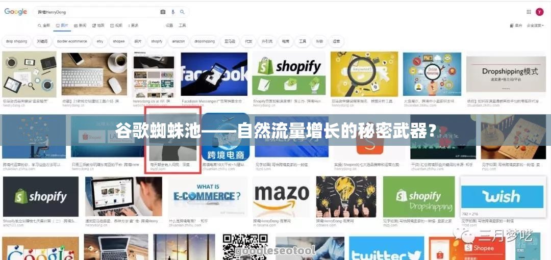 谷歌蜘蛛池——自然流量增长的秘密武器？