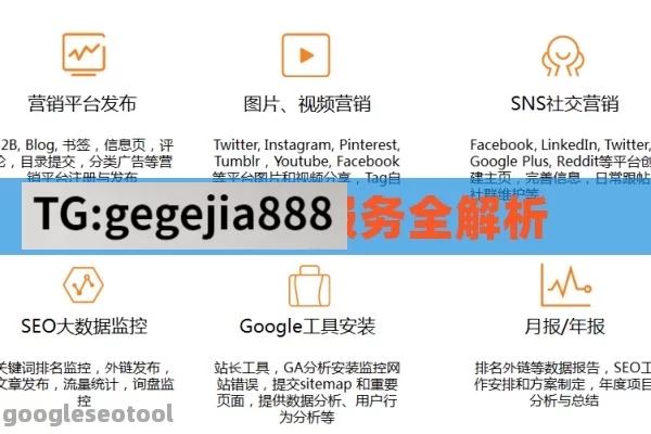 谷歌 SEO 服务全解析