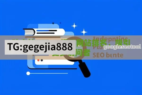 独立站 SEO，提升网站排名，吸引更多访问者