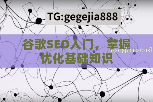 谷歌SEO入门，掌握优化基础知识