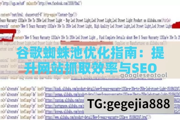 谷歌蜘蛛池优化指南：提升网站抓取效率与SEO排名的终极策略