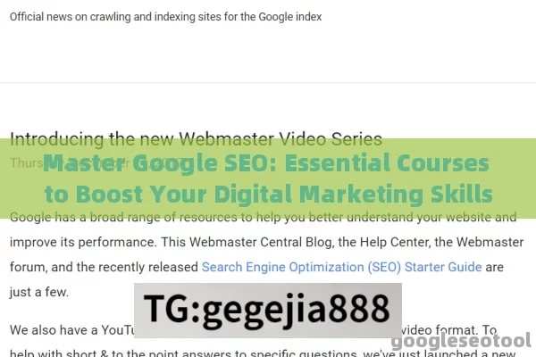 Master Google SEO: Essential Courses to Boost Your Digital Marketing Skills