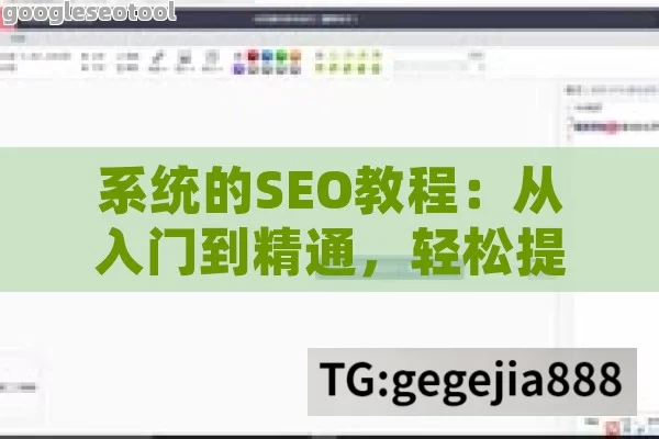 系统的SEO教程：从入门到精通，轻松提升网站排名