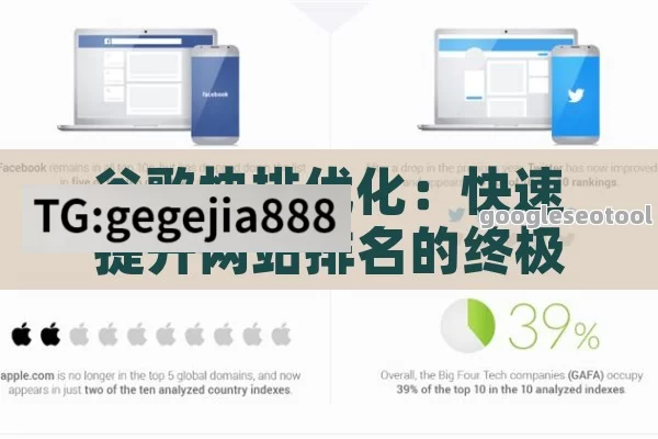 谷歌快排优化：快速提升网站排名的终极指南