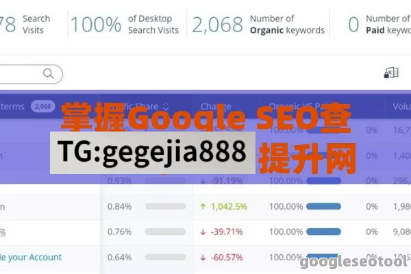 掌握Google SEO查询技巧，轻松提升网站排名与流量